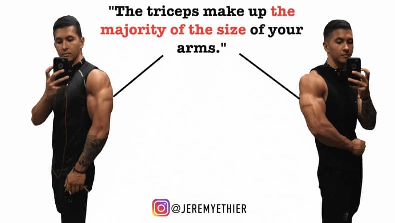 triceps quote
