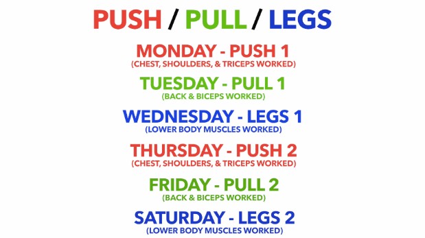 push pull legs 6 day workout split
