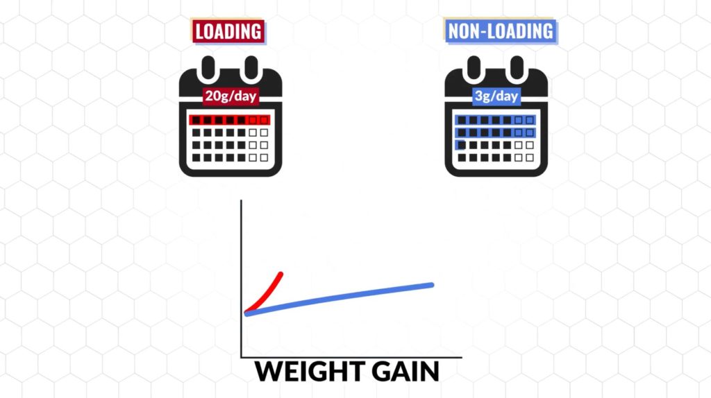 Weight gain before and after creatine depending on the loading protocol you use creatine benefits